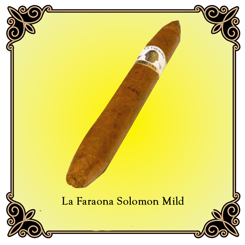 Salomon