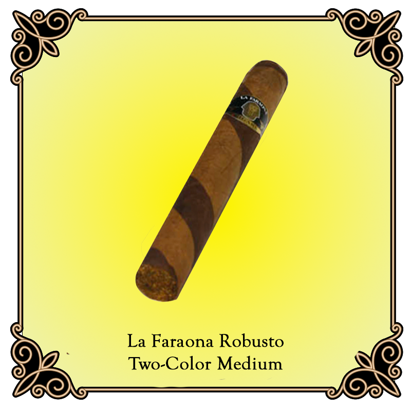 Robusto 2 Color Medium