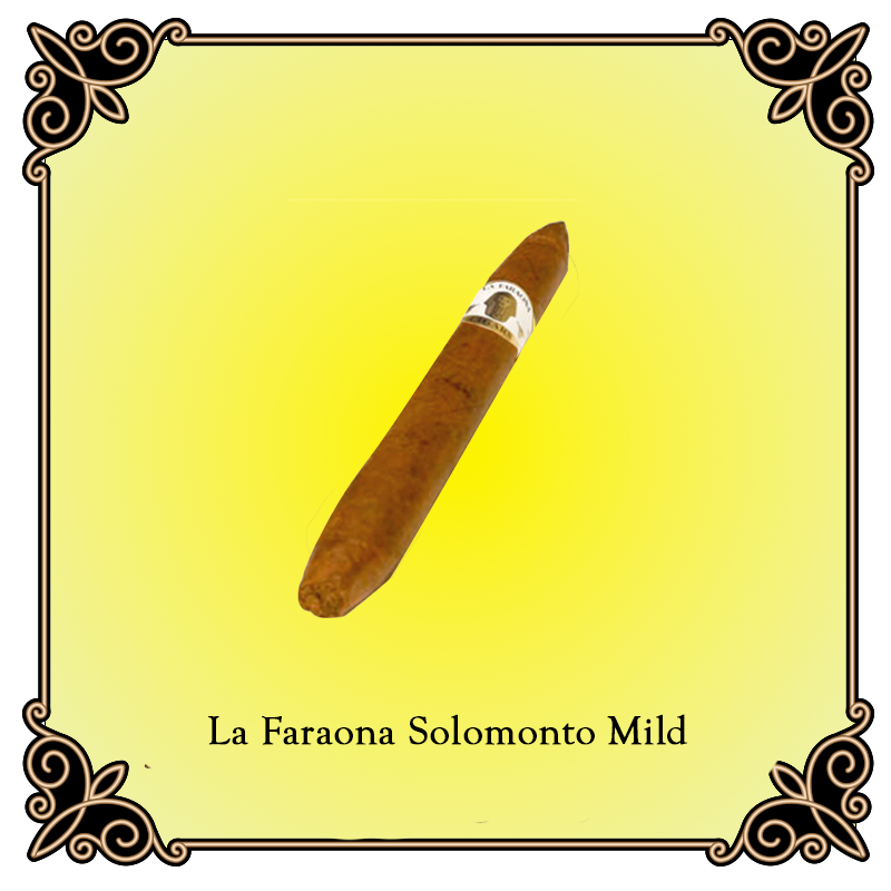 Salomon