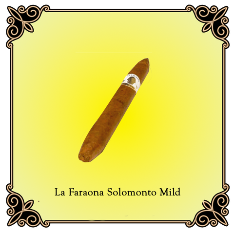 Salomon